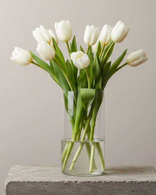 please keep everything but try again on the tulips in the vase